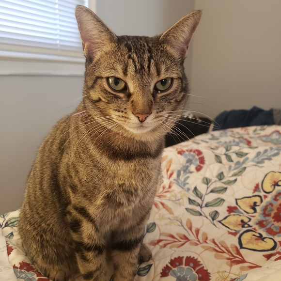 Meet your Posher, Megs - Picture 5 of 7